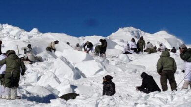 Army Purchases 20 Swedish Advanced Avalanche Rescue Systems To Accurately Find Trapped Soldiers