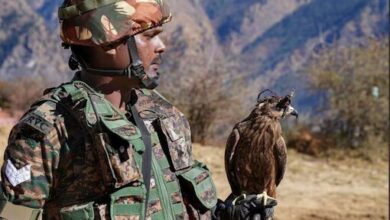 Meet Arjun, The Indian Army's Newest Anti-Drone Flying Soldier
