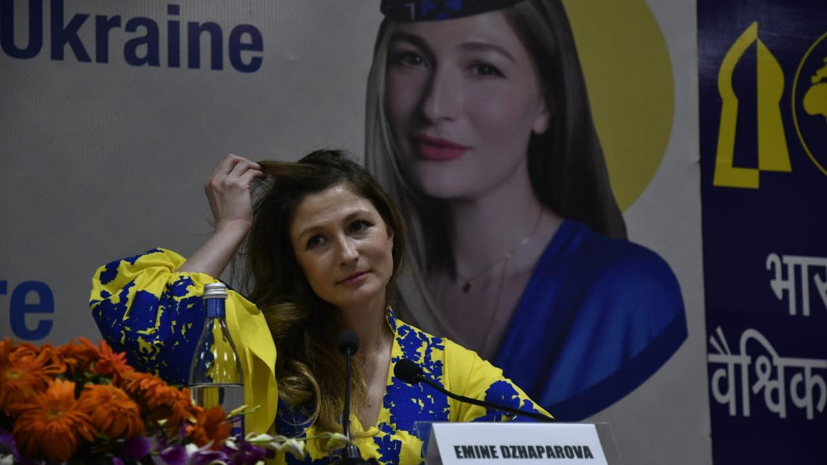 India-Ukraine Relations Shouldn't Suffer From Pakistan's Past: Kyiv