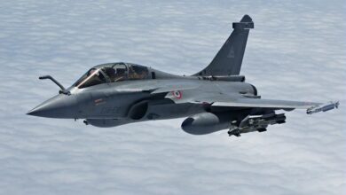 IAF's Partnership With Dassault Empowers Rafale Jets With Indian Weapons