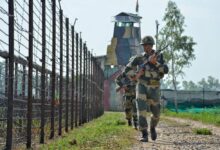 BSF's Operation Alert Along The India-Pakistan Border