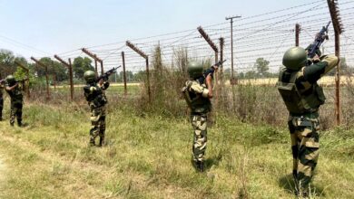 BRO's Ambitious Move: Fencing A Major Portion Of India-Myanmar Border