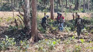 Maoist Killed In Confrontation With Security Forces: Chhattisgarh's Bijapur