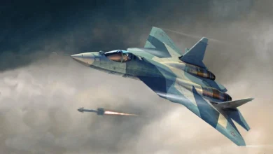 Su-57E Fighter Jet