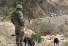 Militants Trapped in Kashmir Forests as Security Forces Launch Massive Operation