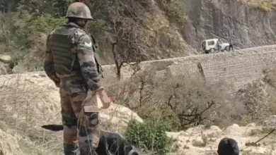 Militants Trapped in Kashmir Forests as Security Forces Launch Massive Operation