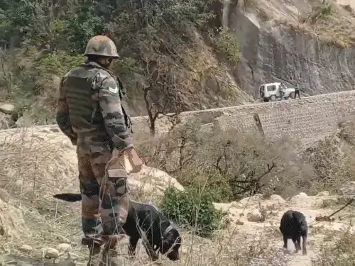 Militants Trapped in Kashmir Forests as Security Forces Launch Massive Operation