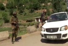 Operation Sherawali enters 32nd day in Rajouri; search operations continue