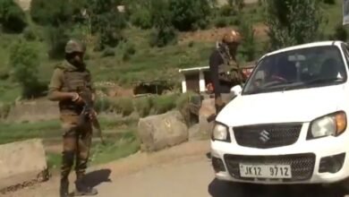 Operation Sherawali enters 32nd day in Rajouri; search operations continue