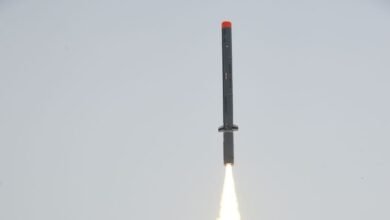 Nirbhay Cruise Missile Strengthens India's Long-Range Strike Arsenal