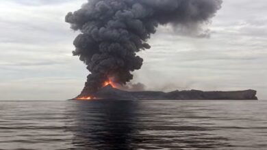 India-Flagged Merchant Vessel Lost in Red Sea Attack; Entire Indian Crew Rescued