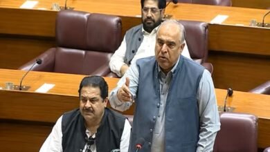 Pakistani MP Raises UAE Hotel Allegation, Seeks Diplomatic Clarification