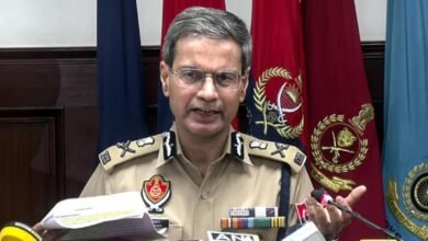Punjab Police Bust Two ISI-Linked Terror Modules; Alleged Plot Targeting Delhi's Jantar Mantar Foiled