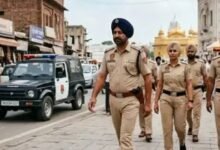 Punjab Police Bust Alleged ISI-Backed Babbar Khalsa International Module, Seize 86-P Hand Grenade