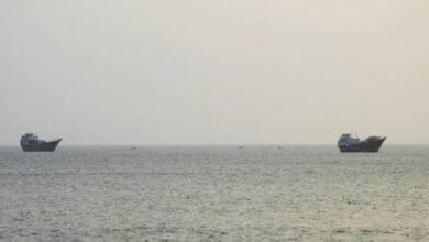 US Signals Temporary Strait of Hormuz Transit Plan Amid Diplomatic Push to Ease Maritime Tensions