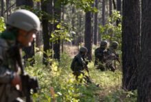 Udhampur Forest Operation: Two JeM Terrorists Killed, Search Operation Continues