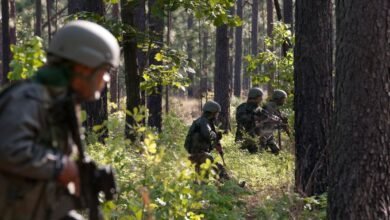 Udhampur Forest Operation: Two JeM Terrorists Killed, Search Operation Continues