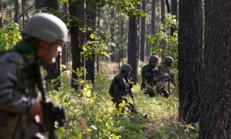 Udhampur Forest Operation: Two JeM Terrorists Killed, Search Operation Continues