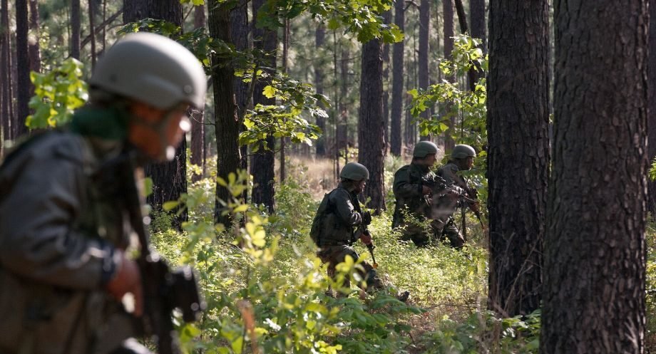 Udhampur Forest Operation: Two JeM Terrorists Killed, Search Operation Continues