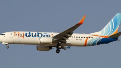 Flydubai Crisis Puts Israeli Air Defences on High Alert After Cockpit Assault